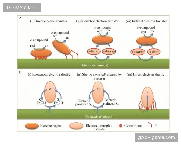 恰尔汗奥卢传球区域分析:提升中场控球与传递效率的关键要素 恰尔汗奥卢传球区域分析:提升中场控球与传递效率的关键要素